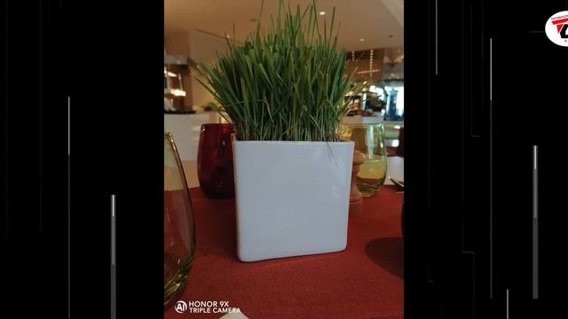 Unboxing The Budget Pop Up Camera Smartphone ???? | Honor смотреть онлайн