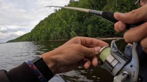 Ищем СУДАКА на ЧЕБОКСАРСКОМ ВОДОХРАНИЛИЩЕ | Тренировки к турниру "Волжская Заруба" 2022|Часть перва