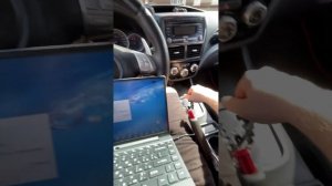 Сброс адаптации АКПП Subaru Impreza GH