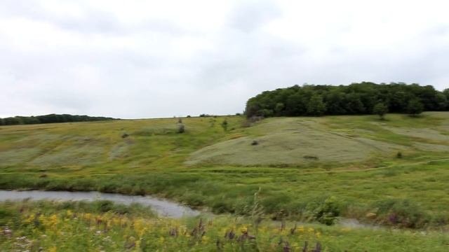 Берёзовая балка. Воронежская область, новохопёрский район.