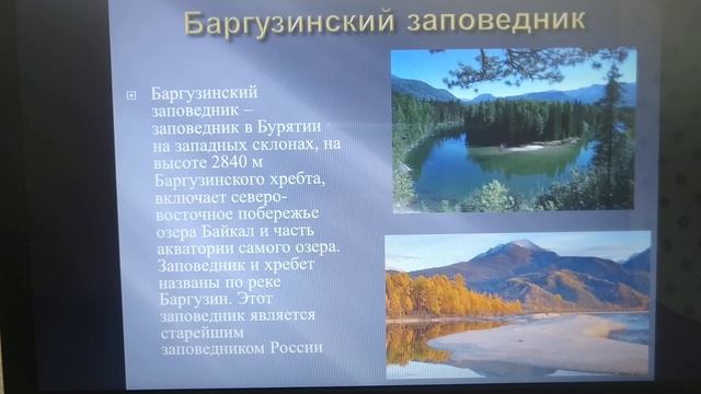 Человек- защитник природы