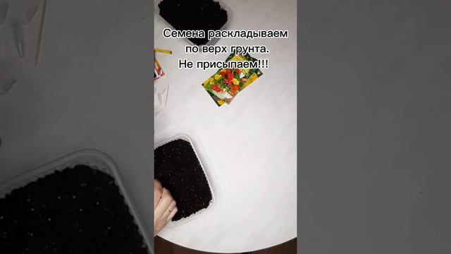 Посев на рассаду петунии ампельной, бегонии клубневой, виолы ампельной. смотреть онлайн