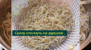 Ростки сои по-Корейски