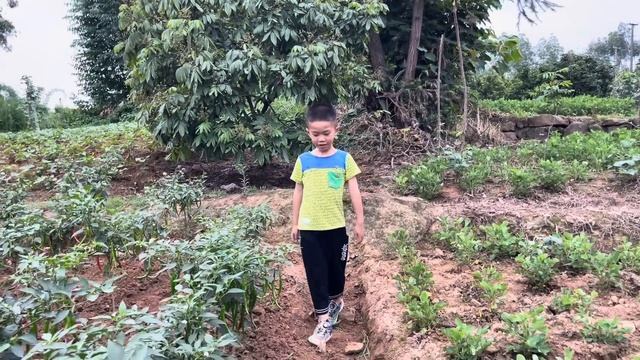 大姐管理菜园每一步都是仔细耐心，背后付出自己清楚，都是很艰辛的！【乡村大姐】 смотреть онлайн