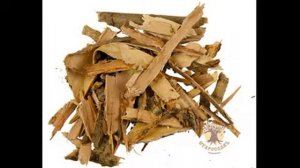 отвар нз коры ива готовят так