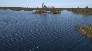 Республиканский ландшафтный заказник Ельня в Белоруссии