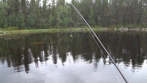 4-я Часть!!!.. ЯЯЗЗЬЬЬ на Воблер!!!.. Ковдозеро!!!..