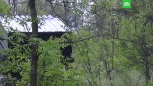 Боевая работа расчётов РСЗО "Град" ВС РФ в ходе специальной военной операции на Украине.