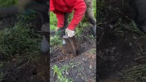 Металлоискатель мд 4030