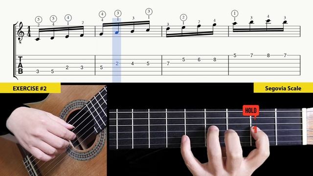 Exercise #2 (Segovia Scale) TAB
