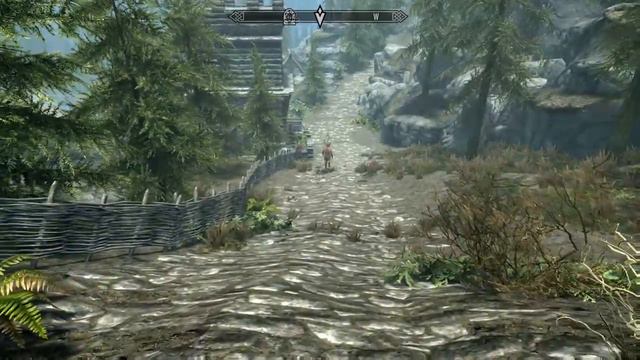 Skyrim SE: Guard Gets Stuck смотреть онлайн