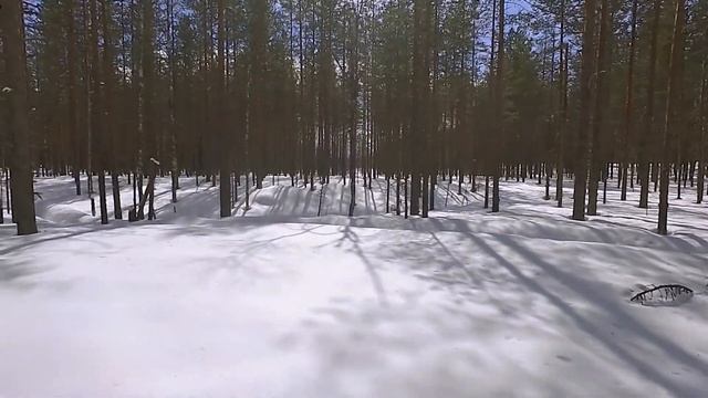 Зимний поход в лес на снегоступах на целый день. смотреть онлайн