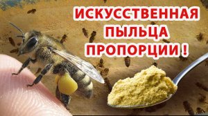 ИСКУССТВЕННАЯ ПЫЛЬЦА ПРОПОРЦИИ