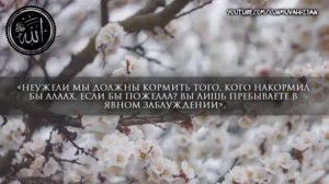 Мухаммад Аль-Люхайдан, Сура 36 "Ясин"