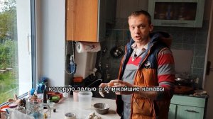 Бактерии для очистки пруда