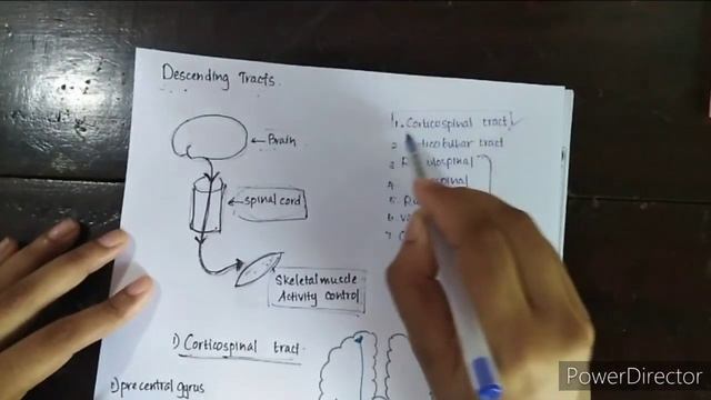 Neuroanatomy 2A - Ascending and descending nerve tracts