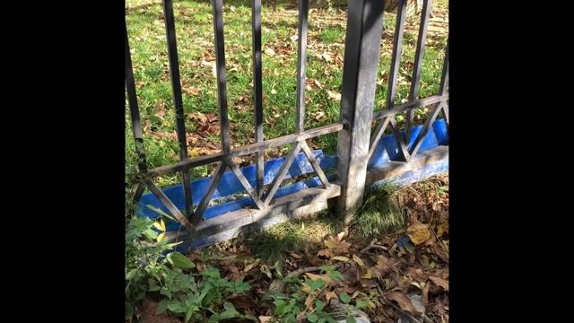 ЧП. 200 Собак ? могут покусать и заразить детей детского сада. Обращение к губернатору Севастополя. смотреть онлайн