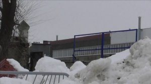 CrowHunting feb 22-3 / Охота на ворон.