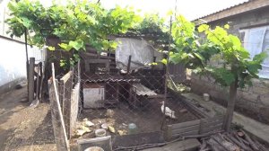 Купить дом в Краснодарском крае для переезда на ПМЖ на юг / станица Старотитаровская