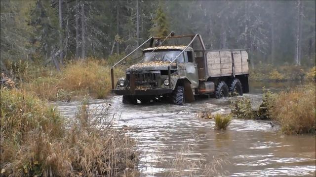Зил-131 на бездорожье! Бобринная преграда. смотреть онлайн