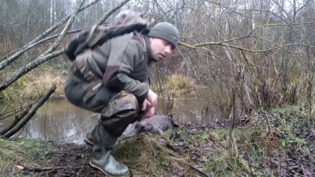 Добыл бобра на приманку! Охота на бобра осенью. Рюкзак для охоты. смотреть онлайн