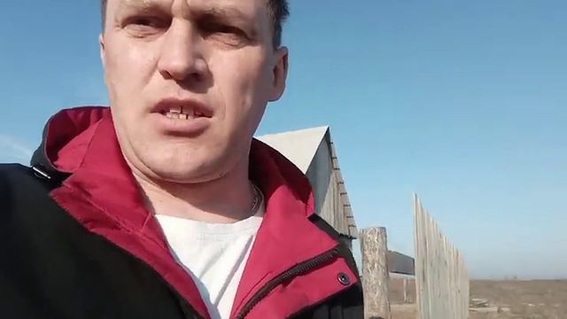 Арболит монолит или блоки. Бригада или свои руки.