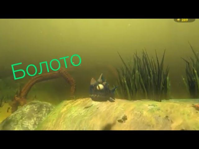 Играю в фид энд гроу фиш на болоте! КАК ВЫЖИТЬ?! Feed And Grow Fish