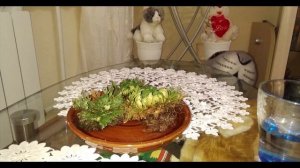 Роза Иерихона с AliExpress!!!