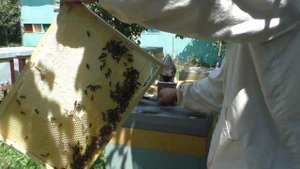 Снимаем вторые корпуса с экспериментальных отводках 22.07.2019