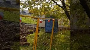 VID_84241226_125451_345.mp4