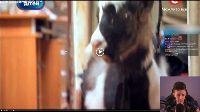 КАК ХЕСУС ЧУТЬ НЕ ПОПРОБОВАЛ КОЗЬИ КАКАШКИ смотреть онлайн