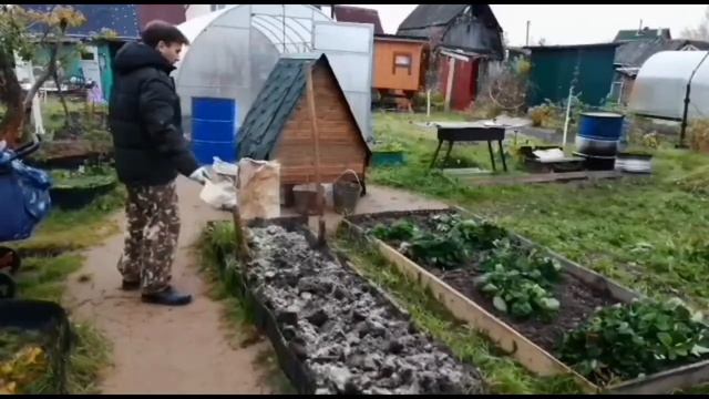 Как вносить навоз. Раскисление почвы доломитовой мукой. #папанадаче