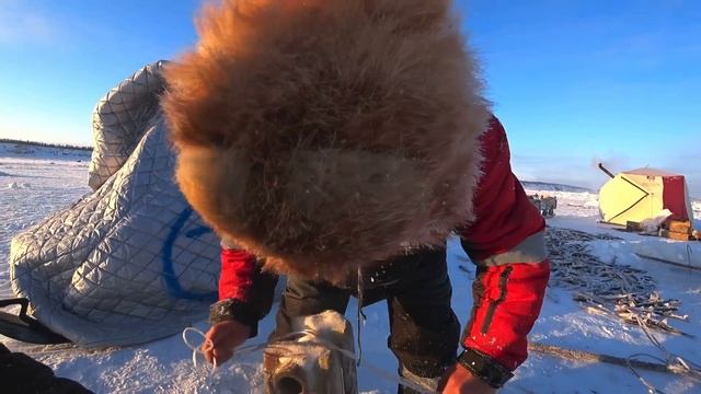 ТРАДИЦИОННАЯ РЫБАЛКА НАРОДОВ СЕВЕРА. смотреть онлайн