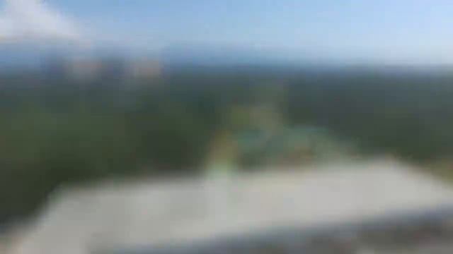 Самшитовая роща Пицунда, Абхазия смотреть онлайн