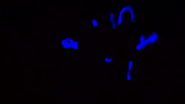 вступление смотреть онлайн