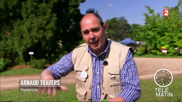 Jardin - Les clématites prennent de la hauteur