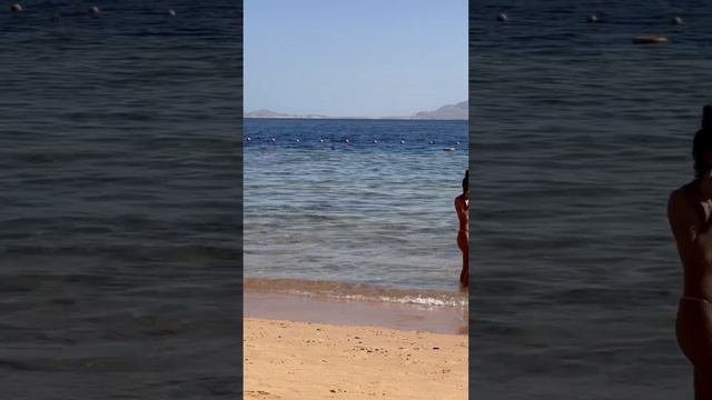 Egypt. Sierra hotel. Sharm el Sheikh. Red Sea. Самое прекрасное Красное море