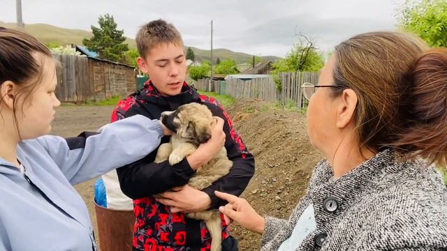 Любовь с первого взгляда.Фото вышлем.#бабушкаблогер #собакадругчеловека #рекомендации смотреть онлайн