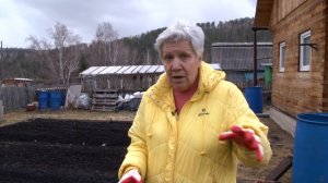 Голова садовая - ЭКСКЛЮЗИВ! Что посадить на прошлогодние грядки