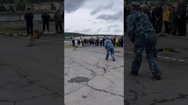 video-192472a1eb0d937d79b063eecf385aa8-V.mp4 смотреть онлайн