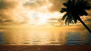 15 minute guided mindfulness meditation to calm anxiety