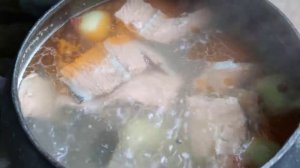 ПОХОДНАЯ УХА ИЗ ХРЕБТА ЛОСОСЯ