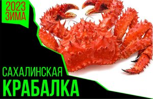 Краб, навага и зубарь.