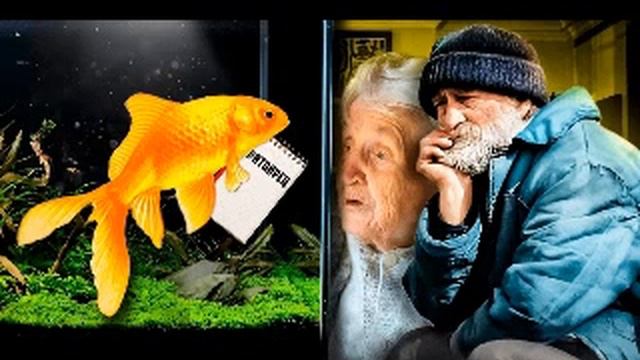 " Золотая рыбка". Цикл " Сундук со сказками " смотреть онлайн