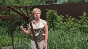 ПОЧЕМУ ЖЕЛТЕЮТ И ОТПАДАЮТ ЗАВЯЗИ ОГУРЦОВ И ЧТО С ЭТИМ ДЕЛАТЬ!!