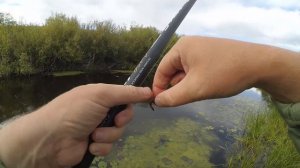 РЫБАЛКА НА БОКОВОЙ КИВОК - ну это, как минимум, необычно!