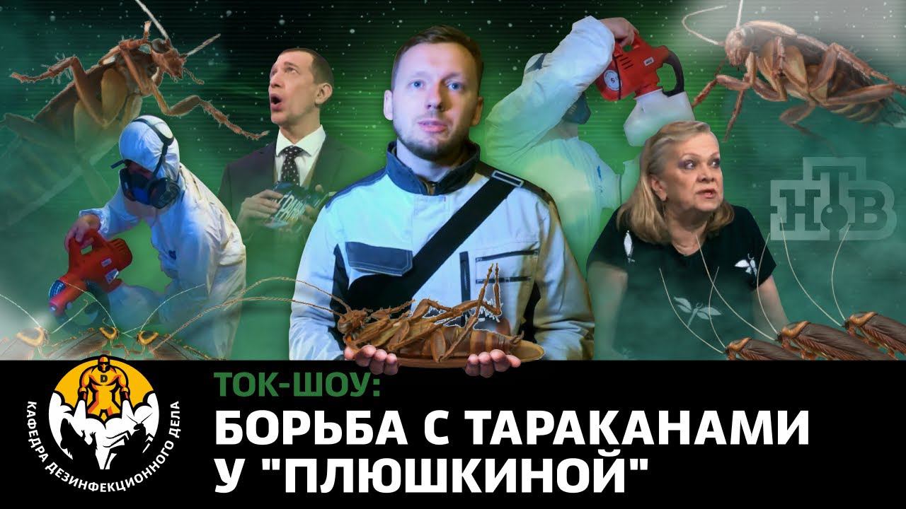 Борьба с тараканами в квартире "Плюшкиной"
