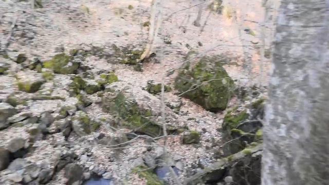 Горный ручей в Кабардино-Балкарии смотреть онлайн