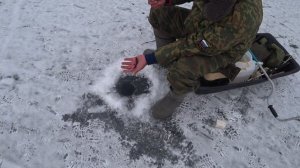 Бешеный Клёв с Одной Лунки Поймал Мешок Рыбы Ловля Краснопёрки Зимой Рыбалка на Жерлицы Ловля Щуки