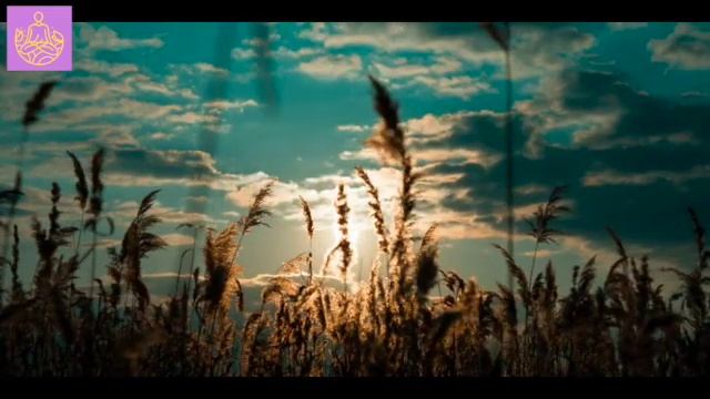 Утренняя медитация | Позитивный настрой смотреть онлайн